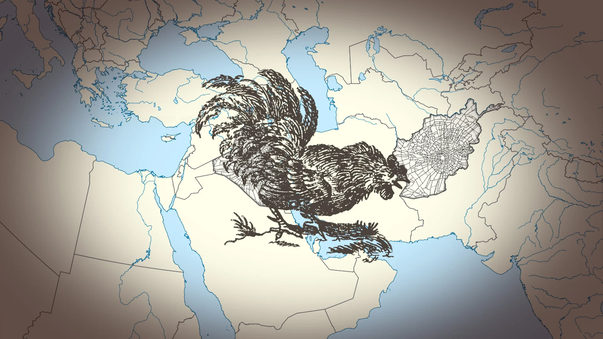cock on Iraq.jpg
