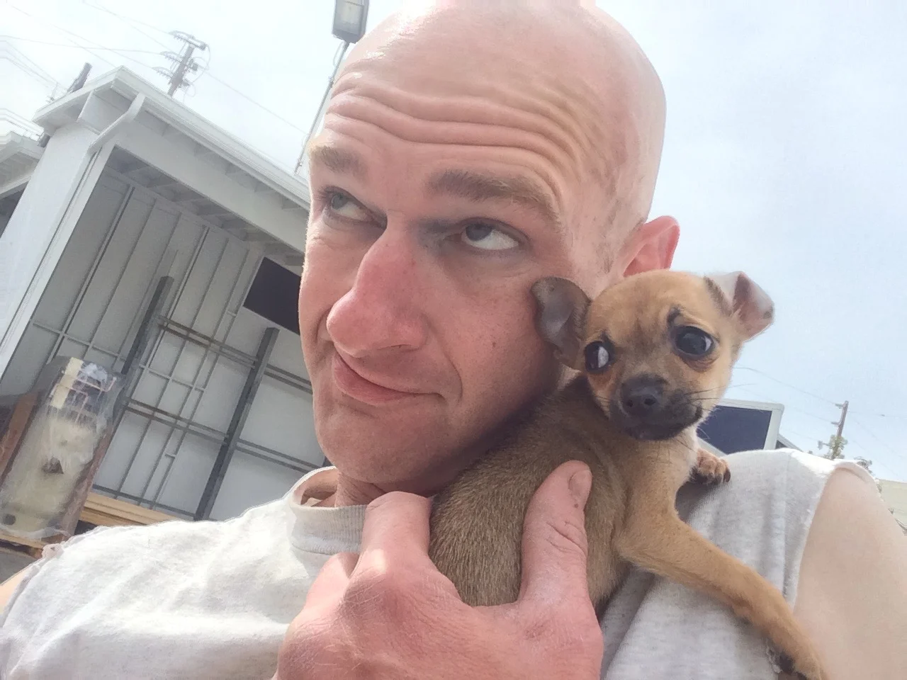 puppy
